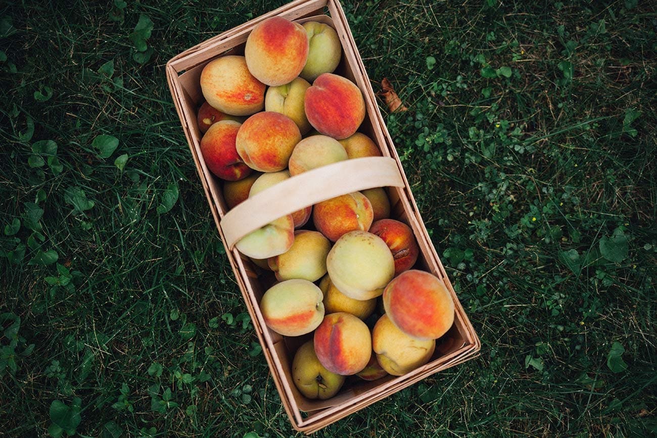 Summertime Peaches | Lisa Dupar Catering | Wedding & Event Catering in Seattle