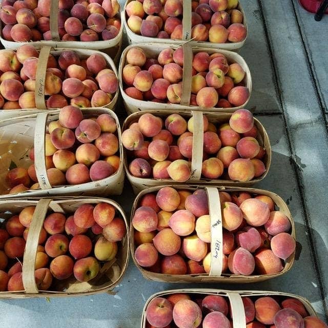 Peaches in many baskets | Lisa Dupar Catering | Wedding & Event Catering in Seattle